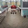French Grey Oak LLP308image