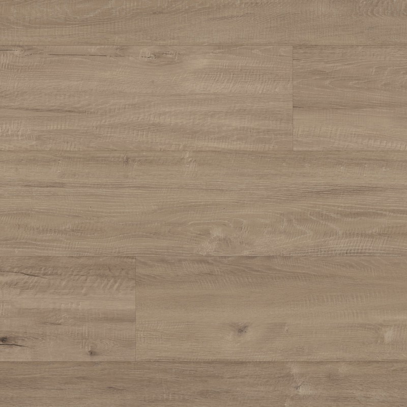 Taupe Oak LLP309 