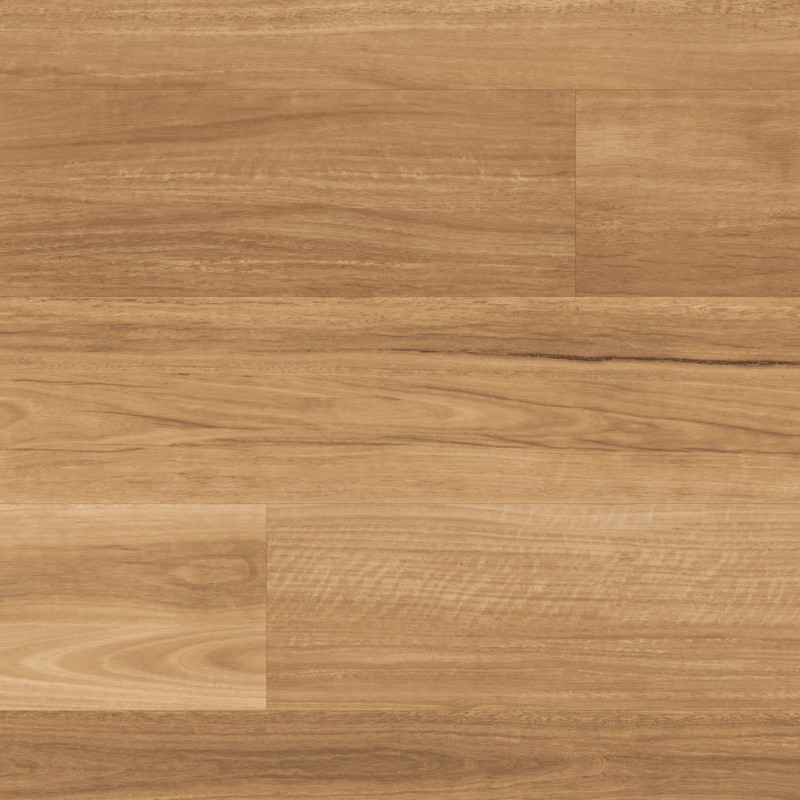 Lemon Spotted Gum LLP317 