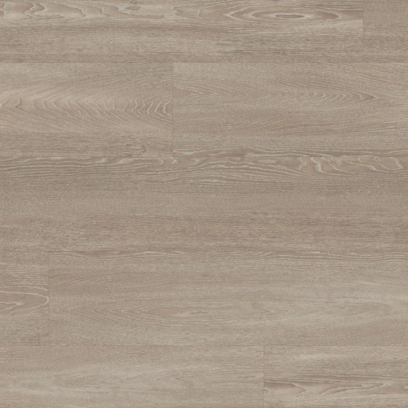 Pallida WP418 